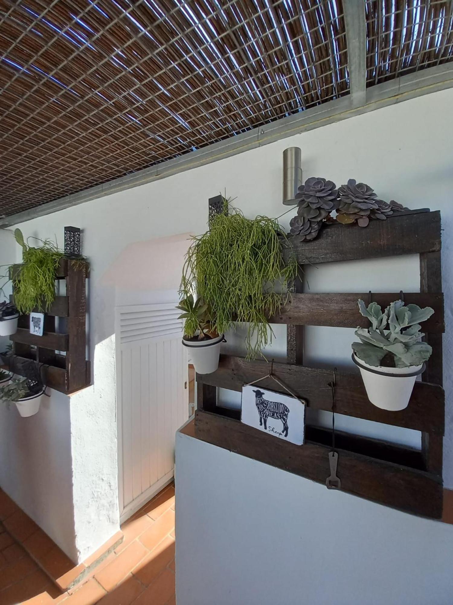 Casa El Molino Villa Конил-де-ла-Фронтера Екстериор снимка