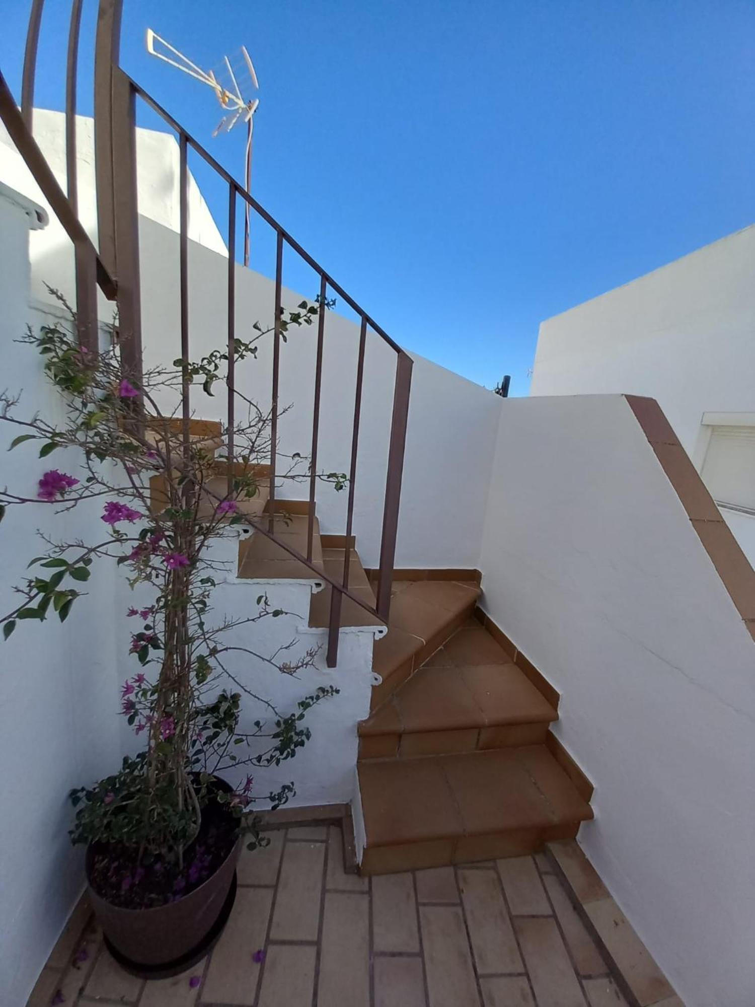 Casa El Molino Villa Конил-де-ла-Фронтера Екстериор снимка